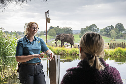 keeper and guest speaking with elephant in the background at West Midlands Safari Park