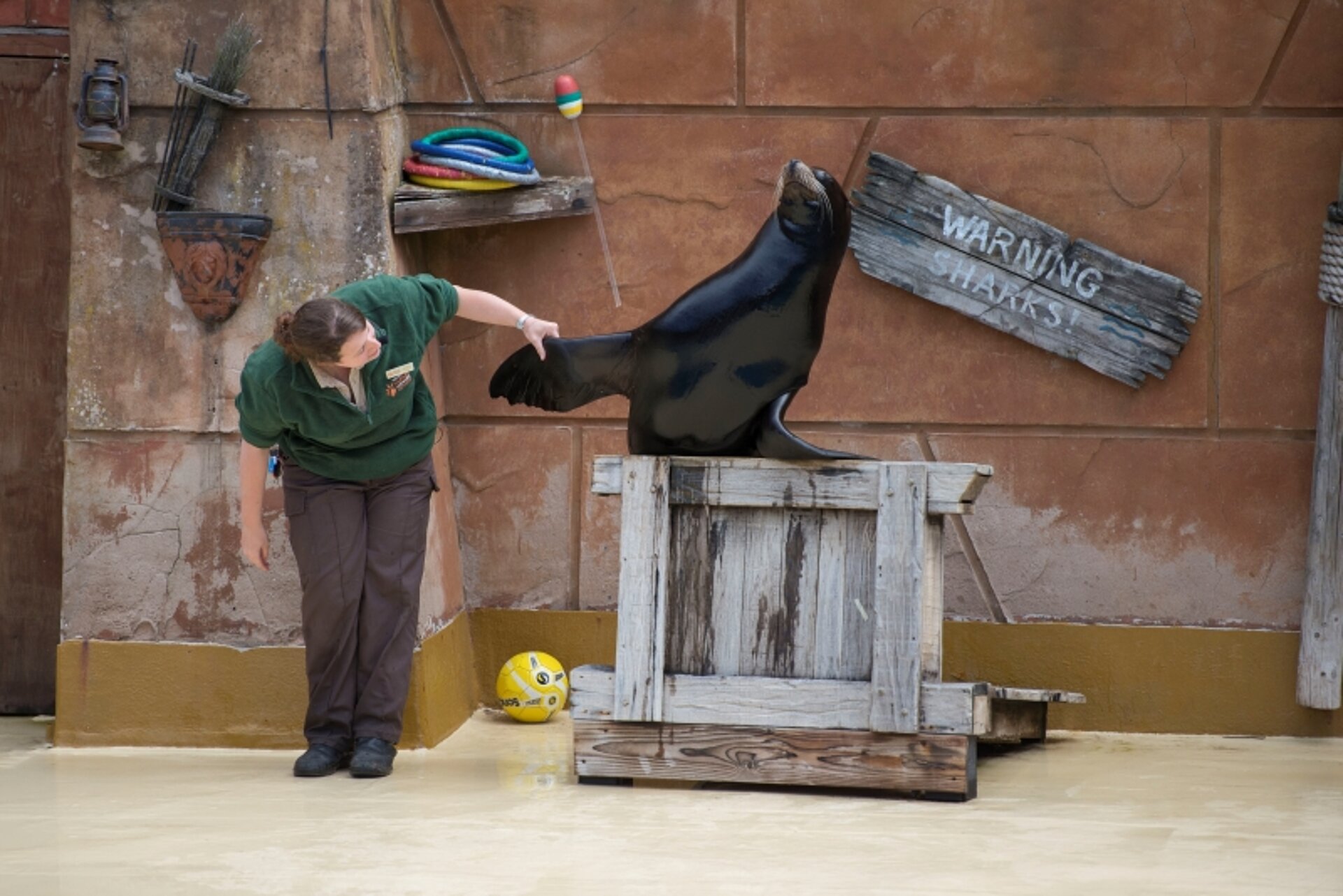 keeper giving talk to visitors at West Midlands Safari Park