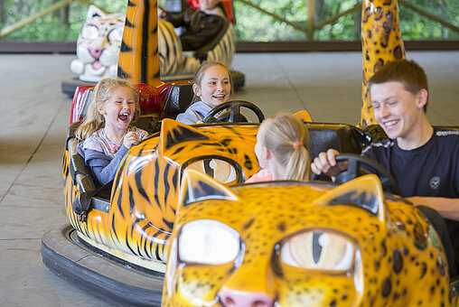 Children enjoying a ride at the Adventure Theme Park within West Midlands Safari Park, smiling and having fun on a family-friendly attraction