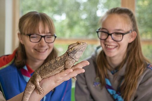 two girls looking at a lizard during Creature Feature at West Midlands Safari Park
